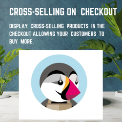 Cross-Selling on  checkout